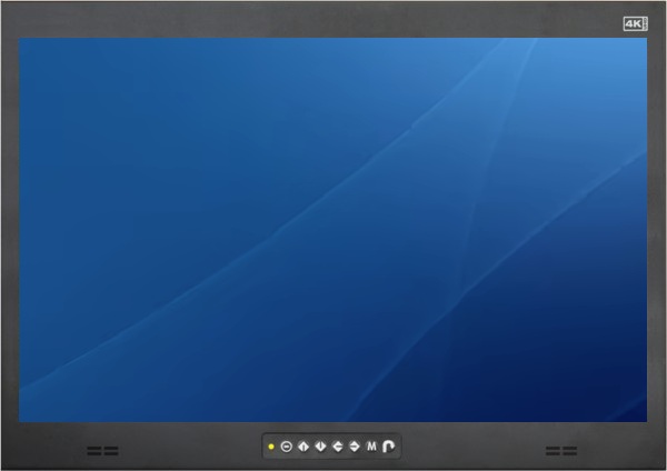Large Rack LCD Monitors (21" to 24")